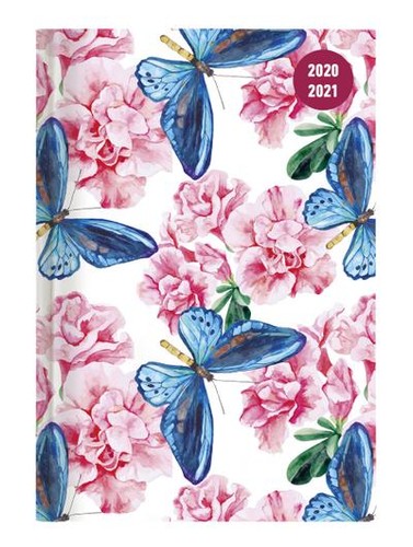 Collegetimer butterfly - collegetimer,