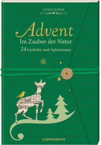 Brief adventskalenderbuch - brief-adventskalenderbuch, –