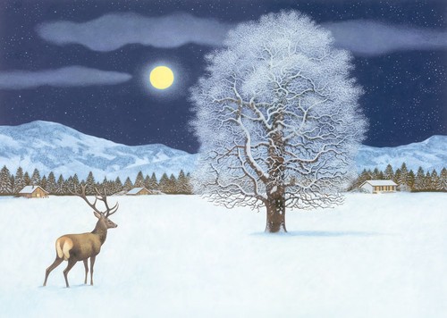 Zauberhafte winternacht - zauberhafte,